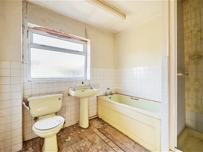 Picture 11